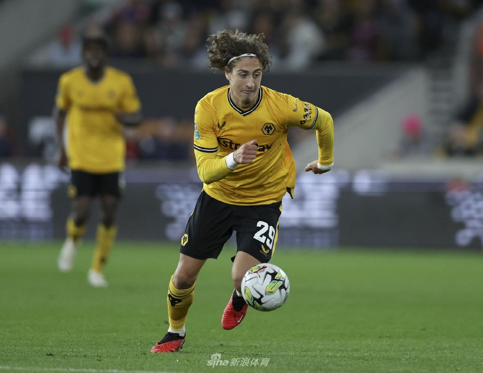 他们都不是 他们都不是